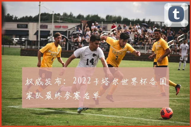 权威发布：2022卡塔尔世界杯各国家队最终参赛名单