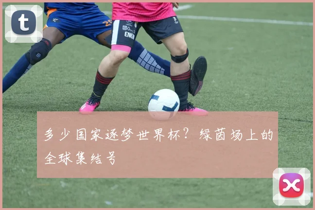 多少国家逐梦世界杯？绿茵场上的全球集结号