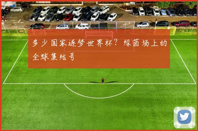 多少国家逐梦世界杯？绿茵场上的全球集结号