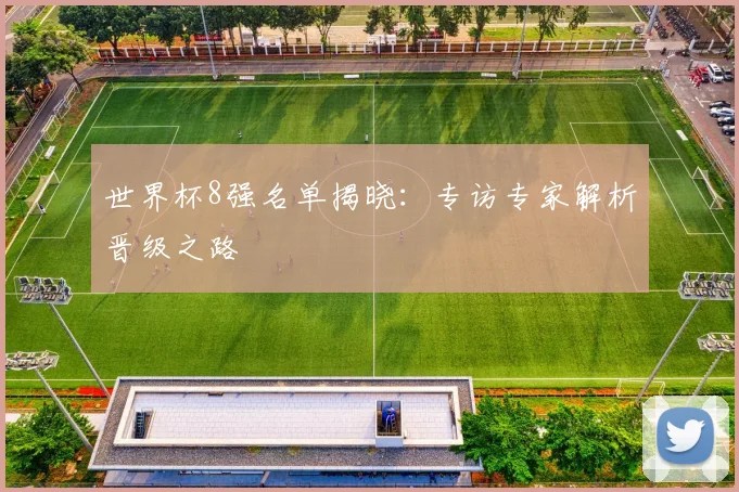 世界杯8强名单揭晓：专访专家解析晋级之路