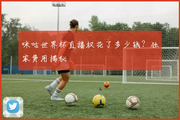 咪咕世界杯直播权花了多少钱？独家费用揭秘