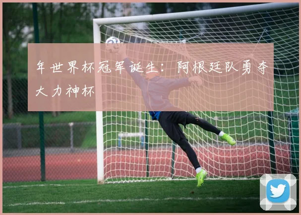年世界杯冠军诞生：阿根廷队勇夺大力神杯