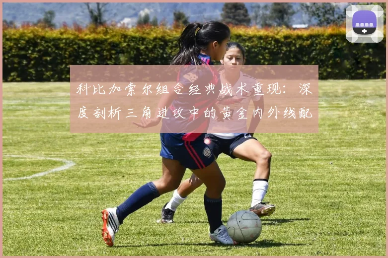 科比加索尔组合经典战术重现:深度剖析三角进攻中的黄金内外线配合