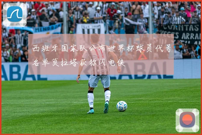 西班牙国家队公布世界杯球员代号名单莫拉塔获称闪电侠